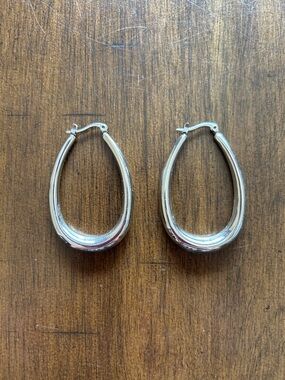 Stainless Steel Teardrop Hoop Earrings - Women Jewelry